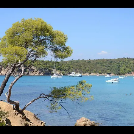 Bord De La Faviere Bormes-les-Mimosas